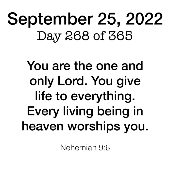 Scripture Day 268