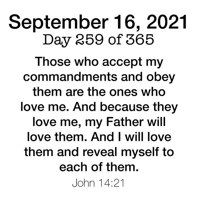 Scripture Day 259