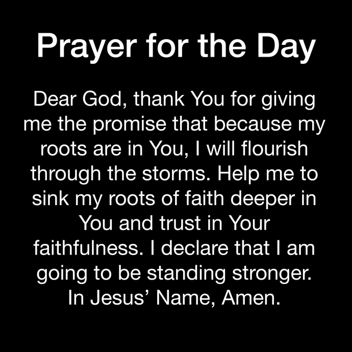 Prayer Day 252