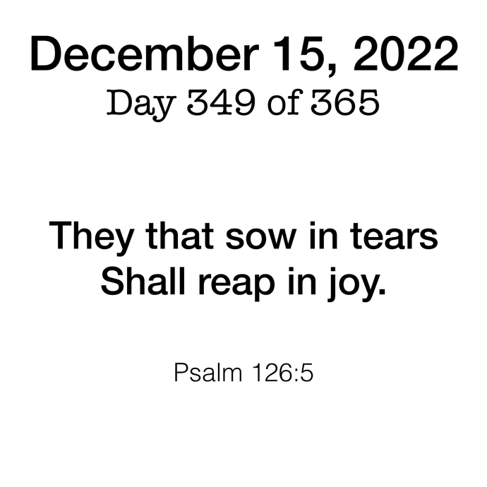 Scripture Day 349
