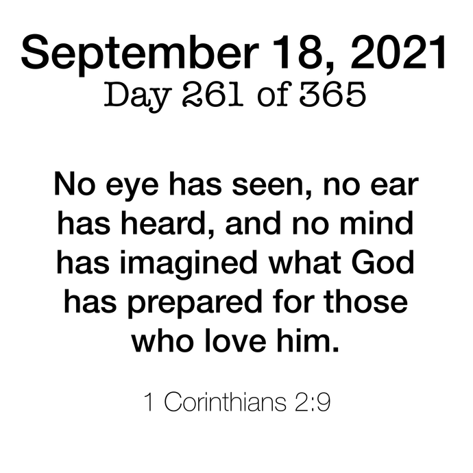 Scripture Day 261