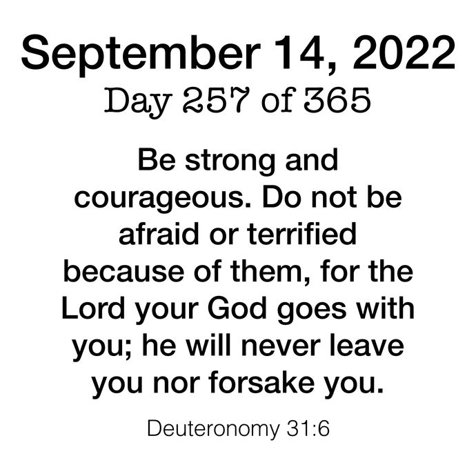 Scripture Day 257