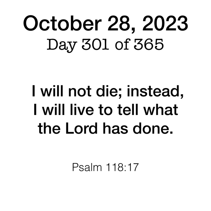 Scripture Day 301