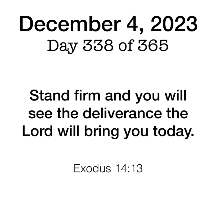 Scripture Day 338