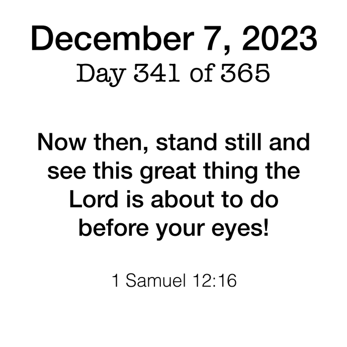 Scripture Day 341
